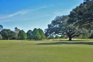 Houston Oaks 16th Fairway